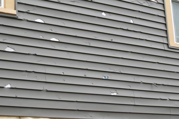 Best Storm Damage Siding Repair  in Kinsey, AL