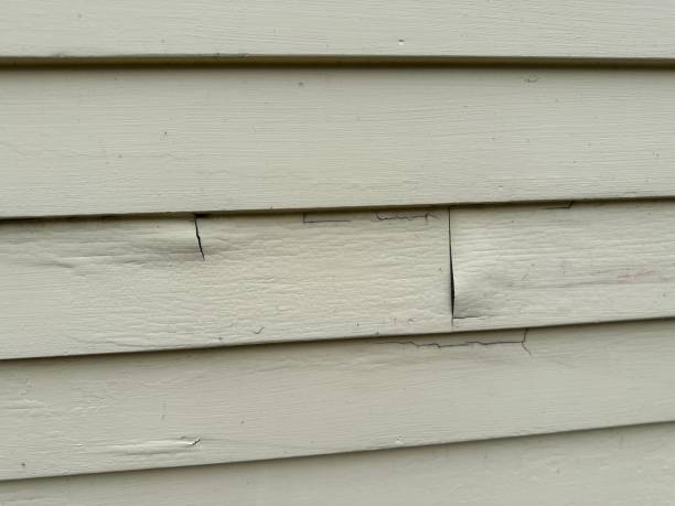 Best Steel Siding Installation  in Kinsey, AL